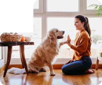 Quer Vender ou Alugar um imóvel seu?